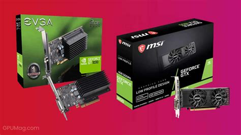 best budget single slot gpu|Best Low Profile Graphics Card 2025 [Buying Guide].